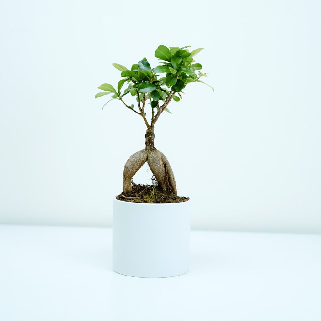 Other Jobs & Services